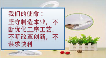 我們的使命：堅(jiān)守制造本業(yè)，不斷優(yōu)化工序工藝，不斷改革創(chuàng)新，不謀求快利